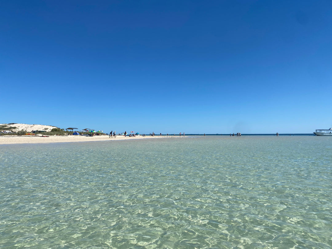 Looking towards shore at Coral Bay Beach, Western Australia. Clear turquoise water.